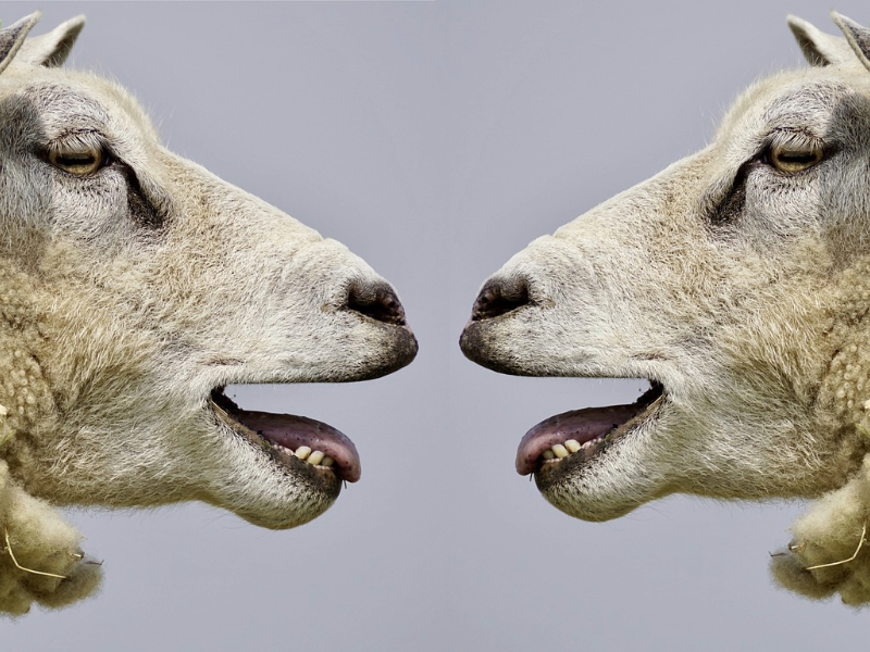 Regularly updating your audience fosters trust and keeps them engaged